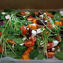 Beet, Pumpkin & Feta Salad (Individually Packaged)