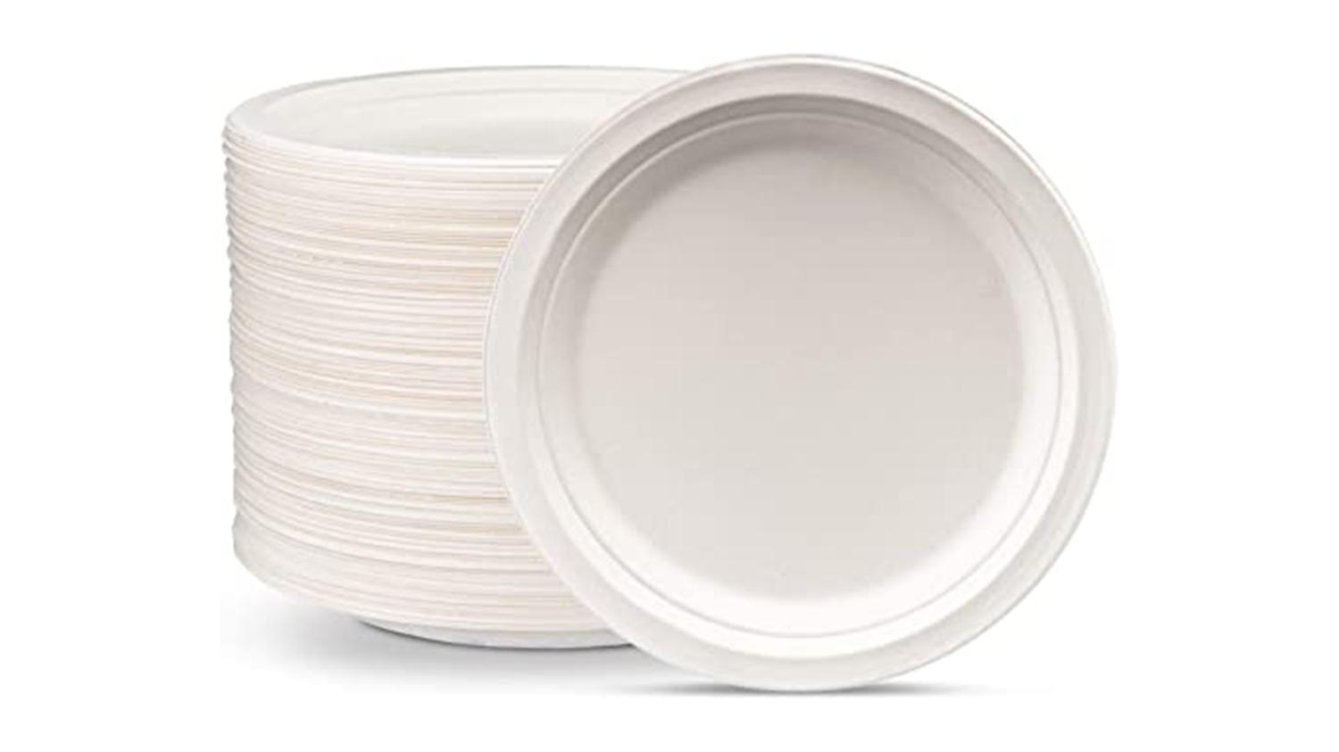 Eco Friendly Plate and Wooden Cultery
