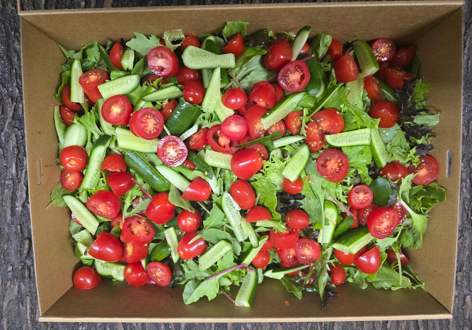 Garden Salad (Individual Main)