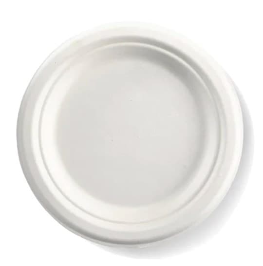 Biodegradable Plates, Entree