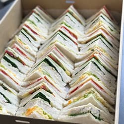 Vegetarian Basic Point Sandwich