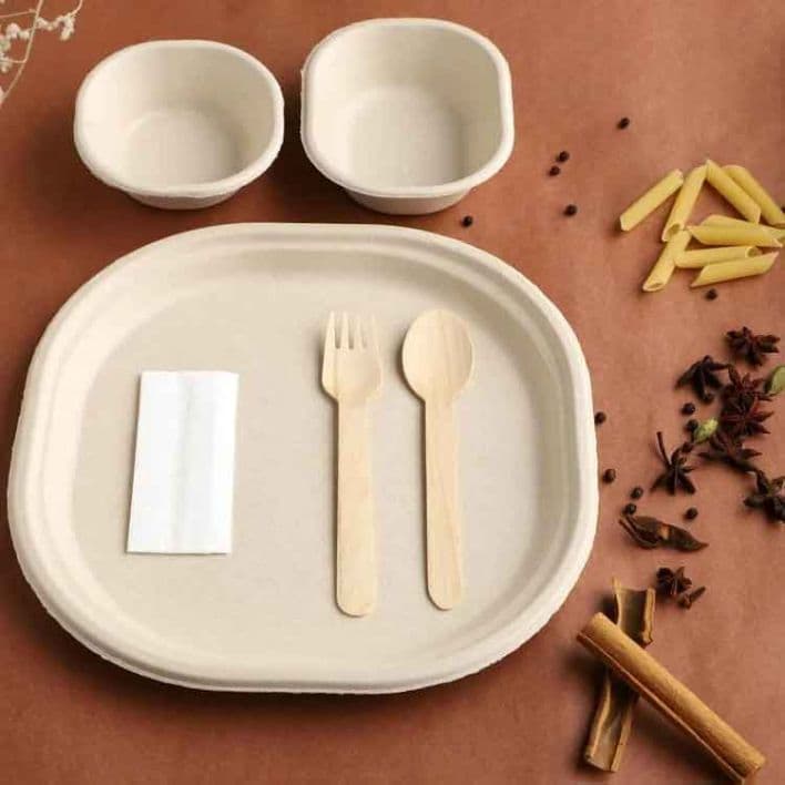 Large Sugarcane Plate w/ Bio Cutlery & Napkin Pack
