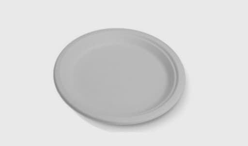 Small Biodegradeable Plates (Pack of 10)