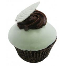 Chocolate Mint Leaf Cupcake