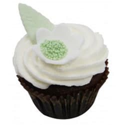 Chocolate Mint Equality Cupcake