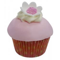 Gracious Raspberry and Vanilla Cupcake