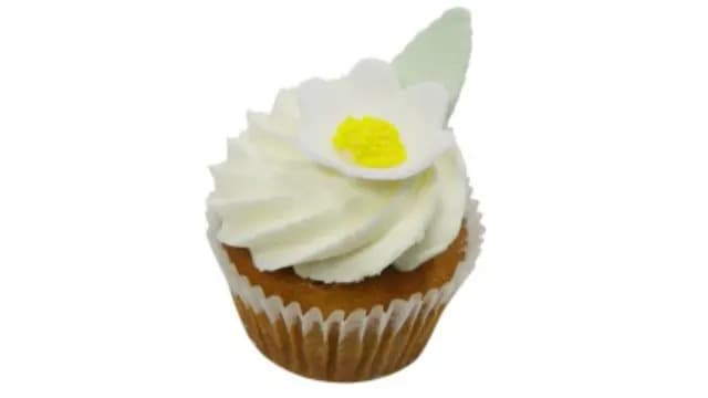 Vanilla and Lemon Natural Cupcake
