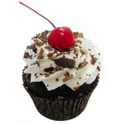 Black Forest Benevolence Gourmet Cupcake