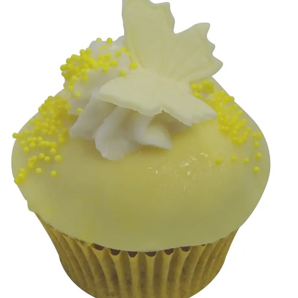 Hummingbird Happiness Gourmet Cupcake