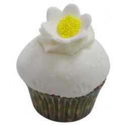 Traditional Vanilla and Custard Cream Cupcake
