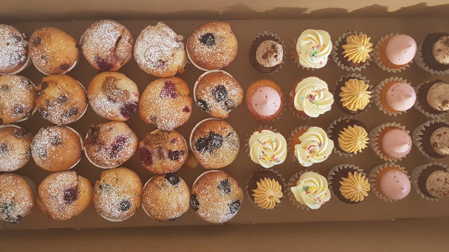 Mini Cupcakes and Mini Muffins Box