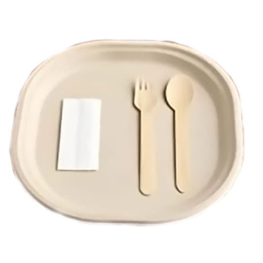 Cutlery and Plate