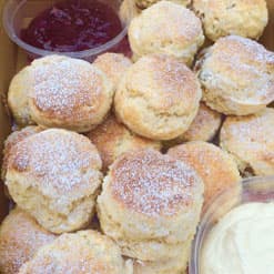 Scone Large Platter (Box of  14)