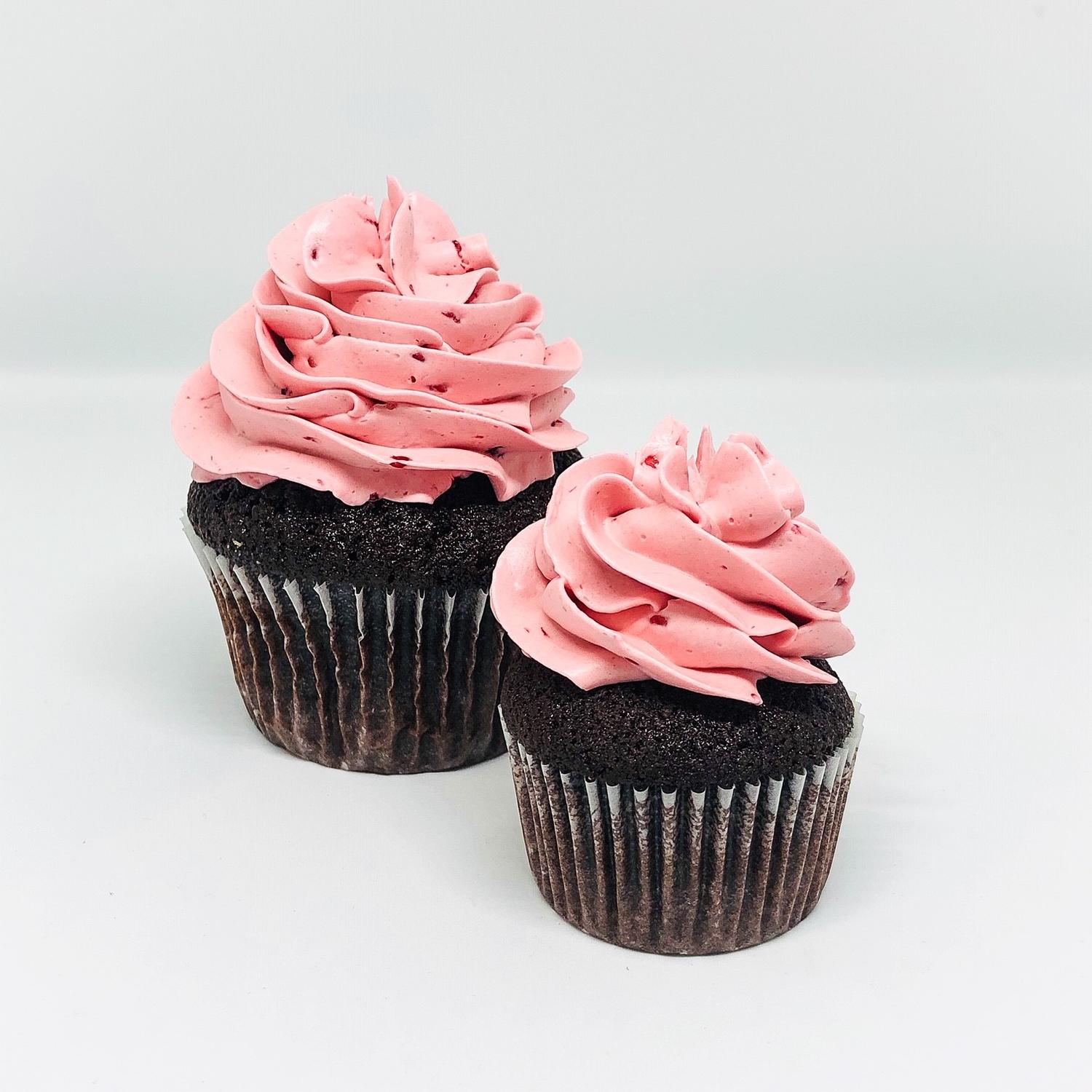 Mini Choc Raspberry Cupcake (Box of 24)