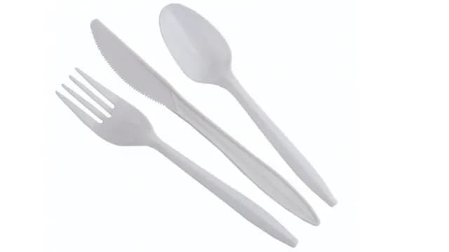 Disposable Items