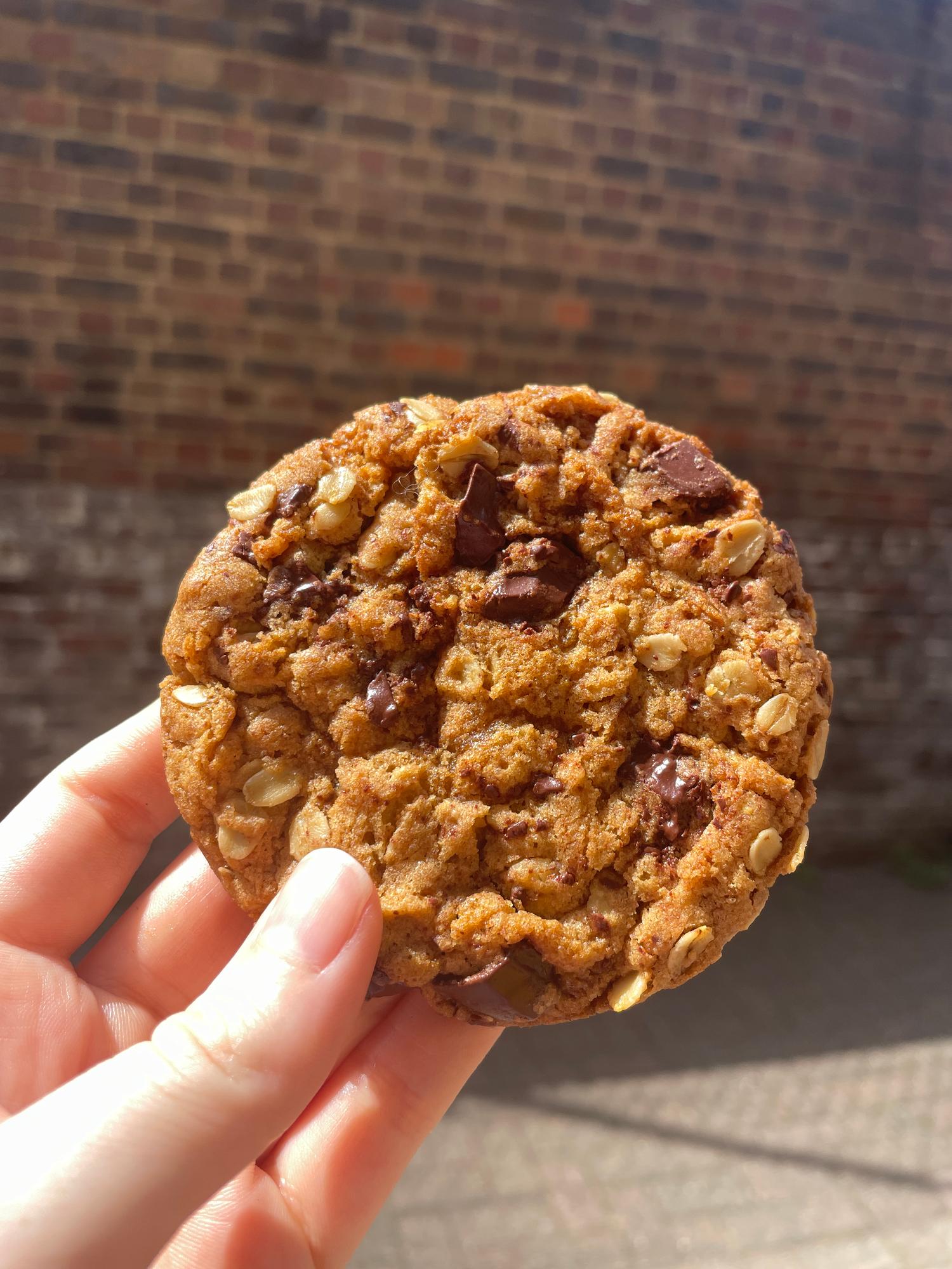 Chewy Oat & Chocolate Chip Cookies 