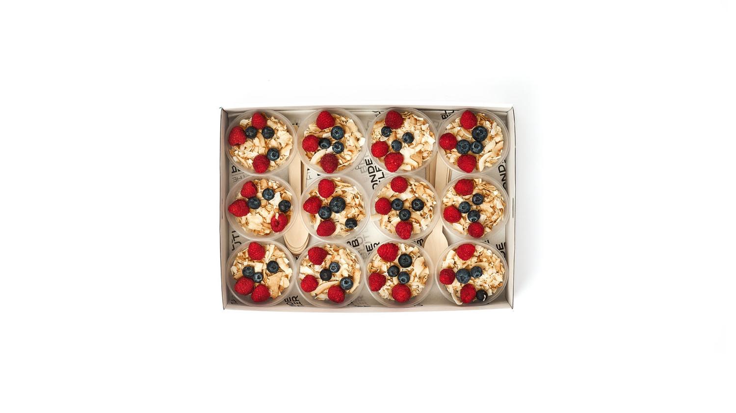 Raspberry & Coconut Chia Pots Box (Medium)