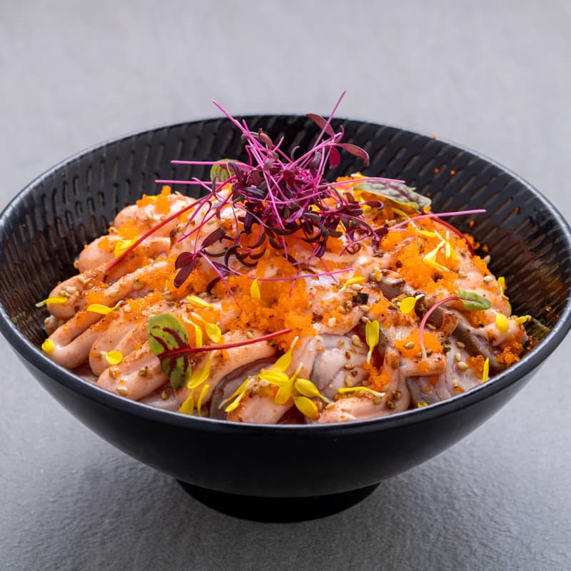 Aburi Salmon Mentaiko Don