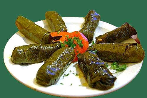 Vine Leaves 
