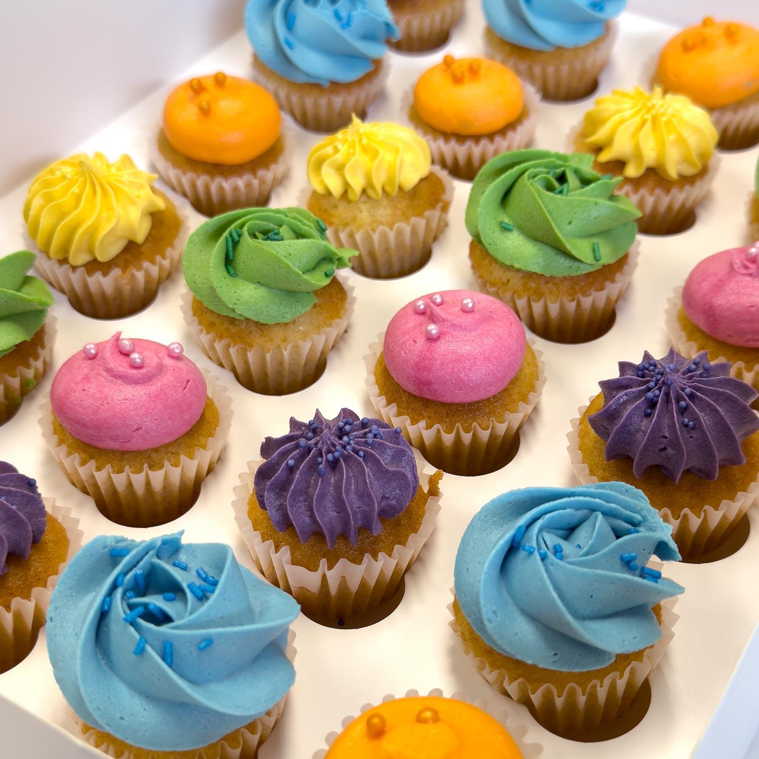 Box of 24 Mini Cupcakes SIX Colours & Flavours