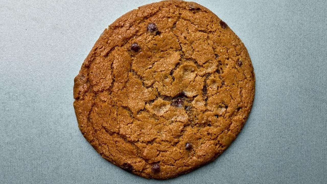 Dark Chocolate + Sea Salt Cookie